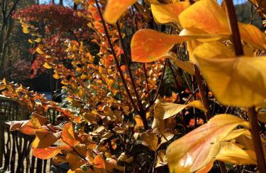 Nantahala River Luxury Escape-on the river! - Foto 7