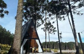 Chalé Araucárias Cambará do Sul - Foto 32