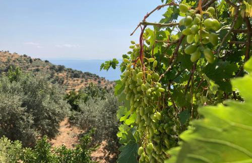 Spiti Koryfi - Foto 23