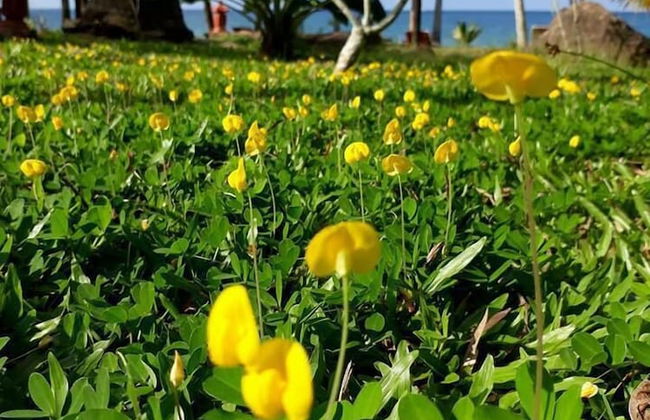 Sam Ong Lang - Foto 22