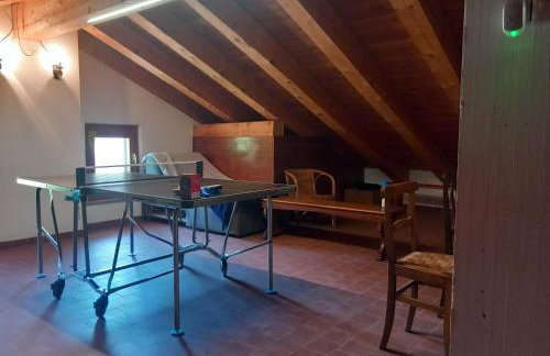 The Green Owl - Foto 35