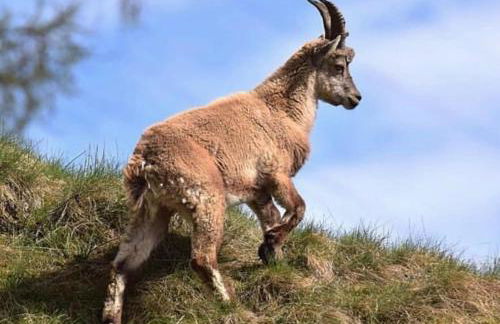 La Terrazza sulla Valle - Foto 31