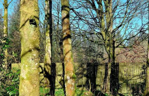 The Coach House- Canonbie - Foto 39