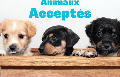 Charmant pavillon 3*** à 5 min des plages, animaux admis - FR-1-323-368 - Foto 12