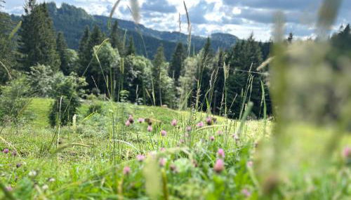 Siebenschläferhütte - Photo 4