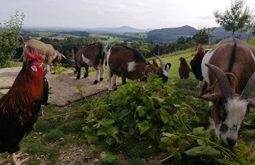 Haus Monika - Foto 13