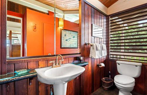 Orchid Hale - Foto 25