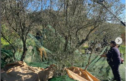 Casa do Olival - Foto 7