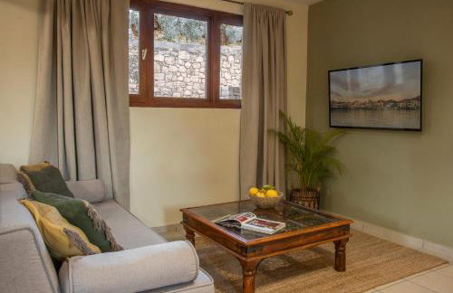 PYRGOS RALLI ESTATE Guesthouse - Foto 48