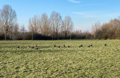 Ferienhaus Xantenamera in Xanten-Wardt am See - Foto 34