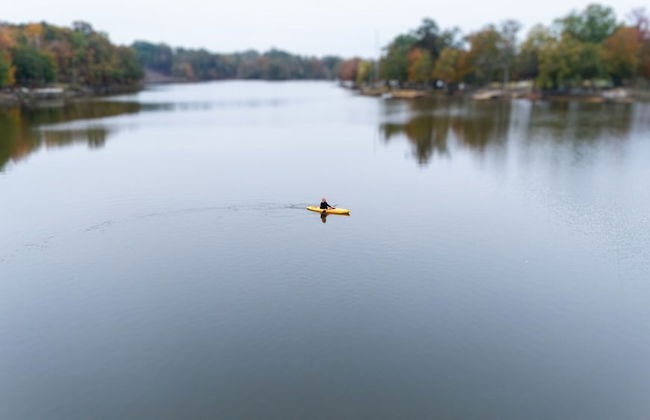 Starlight Haven Weiss Lake - Photo 1