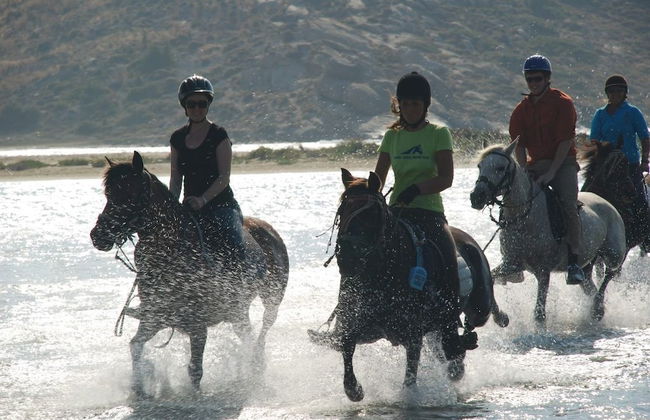 Alkyoni Beach Hotel - Photo 80