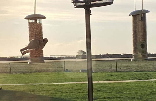 Sea View Cottage Lake District Coast, Haverigg - Foto 25