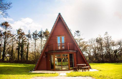Lodges in Lanivet Cornwall with indoor pool - Foto 29