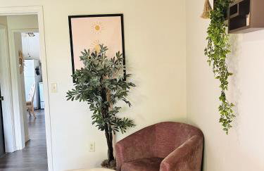 Soleil Salem - Foto 11