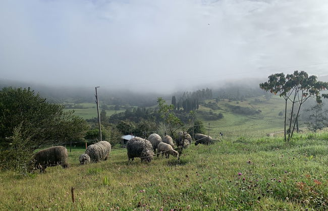 El Respiro de La Colina - Foto 36