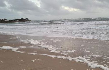 T3 “Groix“- 50 m de la plage de Fort Bloqué/Ploemeur - Foto 29