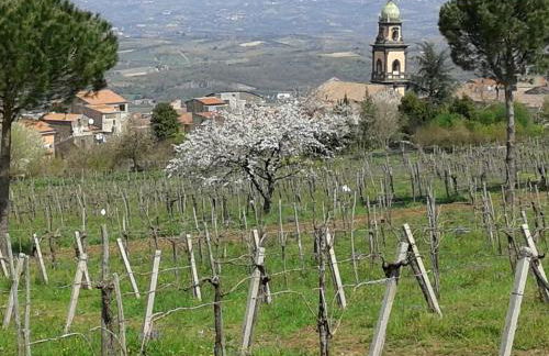 Palazzo Cusani - Foto 18