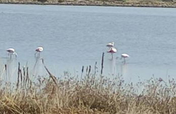 Maison de vacances à l'Ayguade classée 3 étoiles, climatisée,3mn à pied plage et restos ,5mn aéroport, 10mn gare - Foto 39