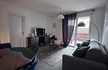 T2 - Balcon -15 min centre ville et Allemagne - Foto 37