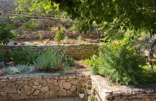 Apartments Despotović - Photo 10