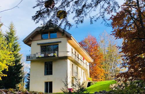 Le Moulin des Olirics - Photo 89