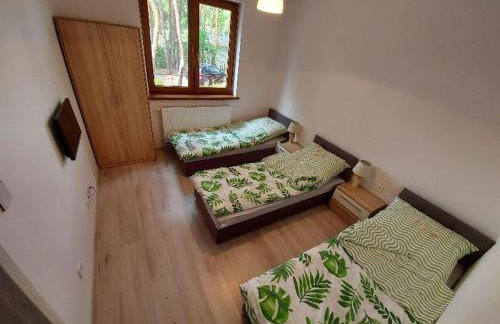 Apartament Nad Jeziorem Brenno - Foto 8