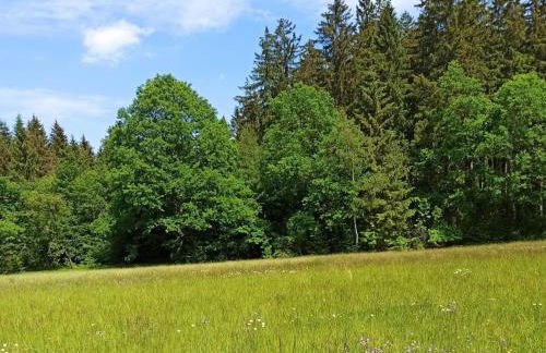 Am Sonnenblick - Foto 28