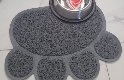 Le loft des mimosas proche de cannes - Foto 45