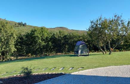 Quinta de Cerdeiró - Foto 10