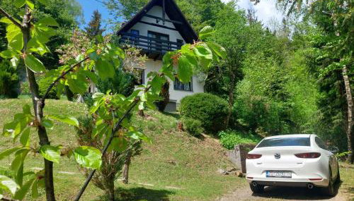 Holiday home in Delnice - Gorski Kotar 43959 - Foto 5