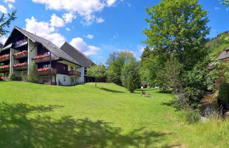 Ferienhaus Albmatte-Sauna im Haus-gemütliche Apartments - Foto 22