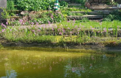 Wohnung mit Sauna, Garten & Schwimmteich - Foto 33