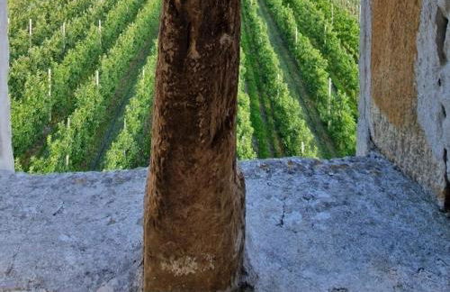 Ferienwohnungen JoJaSa - Foto 60