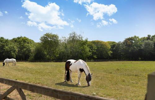 Merry Lakes - Luxury Lakeside Escape with Pool - Just 30 Minutes from London - Foto 75