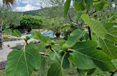 Villa Castelletto Parenzana - Foto 79