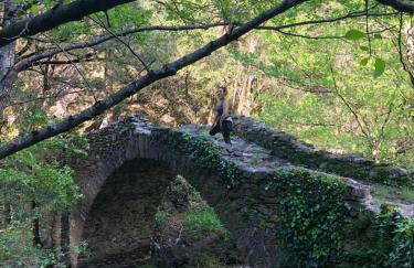 Maison spacieuse à Saint-André-de-Valborgne avec jardin 120 m² - Foto 26