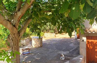 Apartman Mihaela - Photo 14