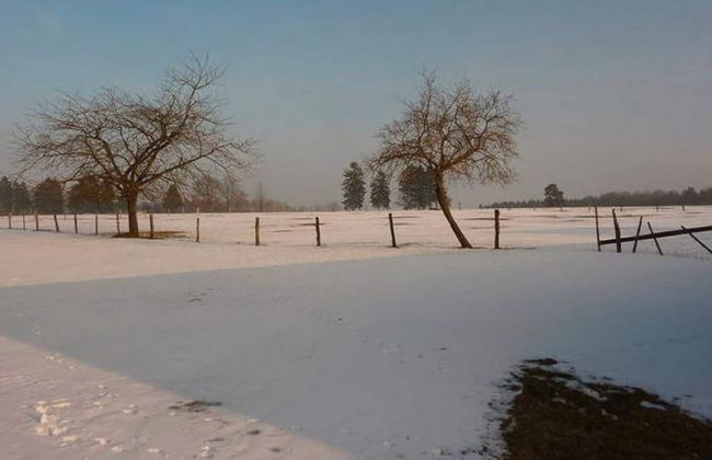 Elegant Home With Sauna - Foto 32