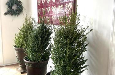 THE VILLA Farm Sleeps 20 more - Foto 11