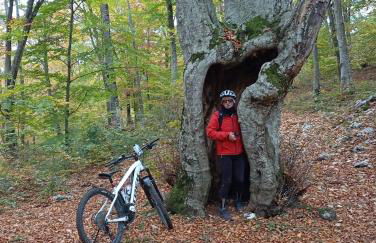 la bottega del fabbro affitto breve - Foto 74