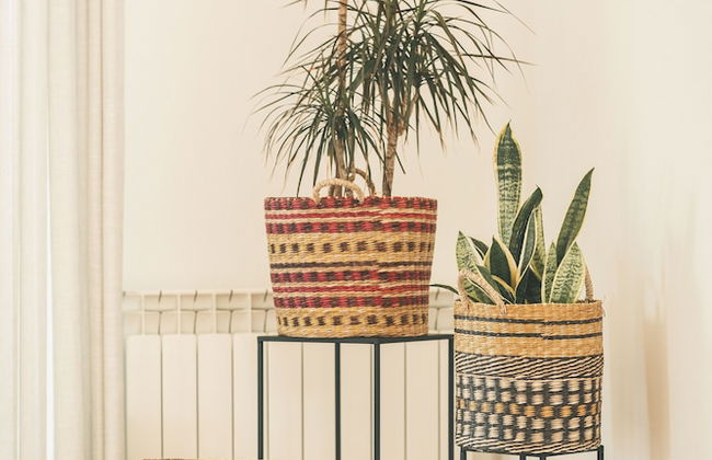 Vale Pisco - Photo 47