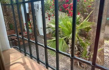 La Washingtonia - Foto 19