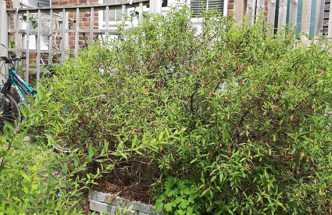 1 Bed Flat - Sleeps 2 - Pets - Garden - Parking - Foto 11