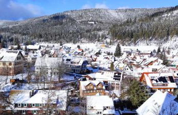 Ferienwohnung Vogelnest im Schwarzwald - Foto 52
