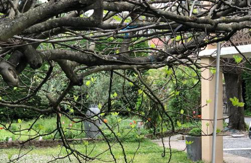 Condrieu et parking voiture vélo 2 ème étage - Foto 60