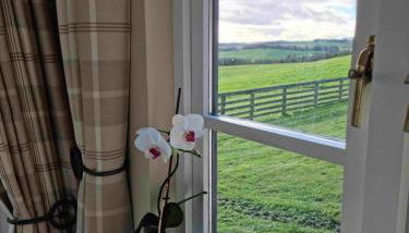 Huntshaw Stables - Foto 2