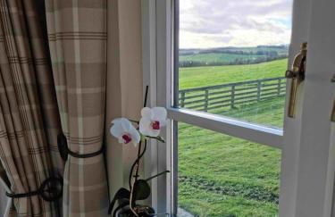 Huntshaw Stables - Foto 2