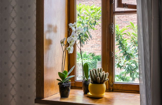 HB apartments Akhvelediani - Photo 12