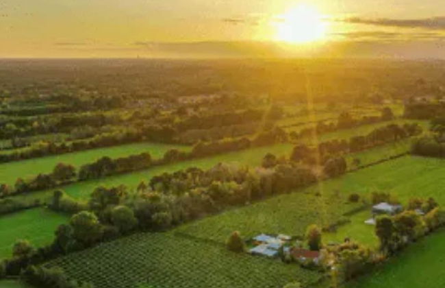 Characteristic House With Wellness in Augustinusga - Foto 40